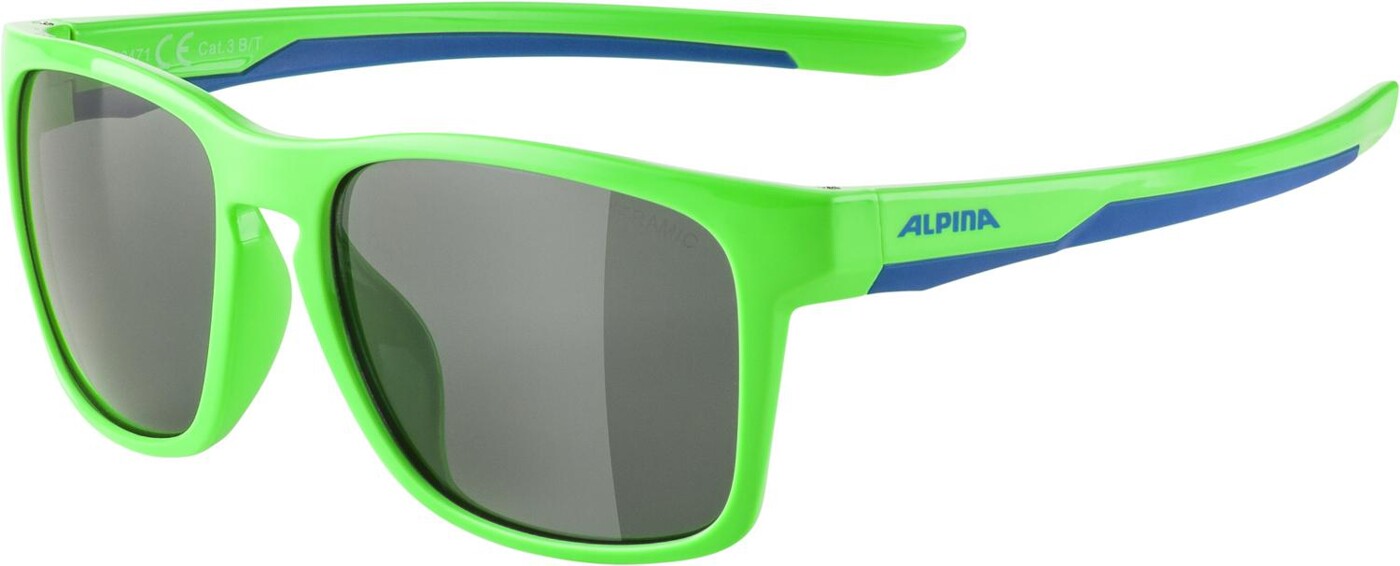 Sonnenbrille FLEXXY COOL KIDS I ALPINA