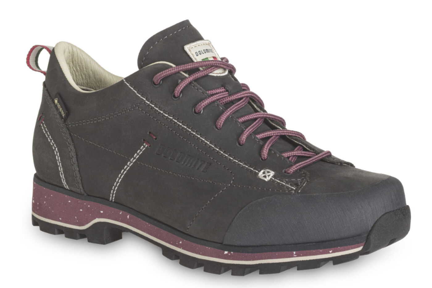 DOLOMITE DOL SHOE WS 54 LOW FG EVO GTX - Damen