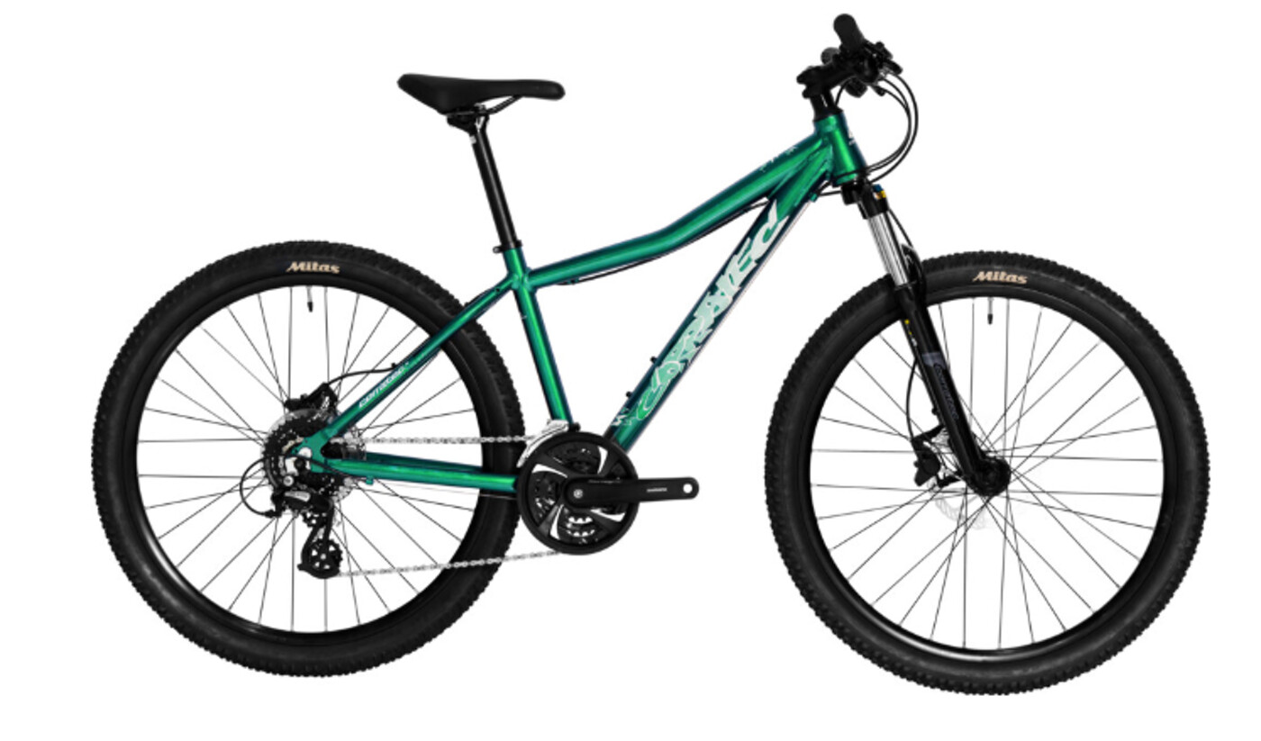 X Vert Rock Team Blue I Cool Grey I White BIKE CORRATEC