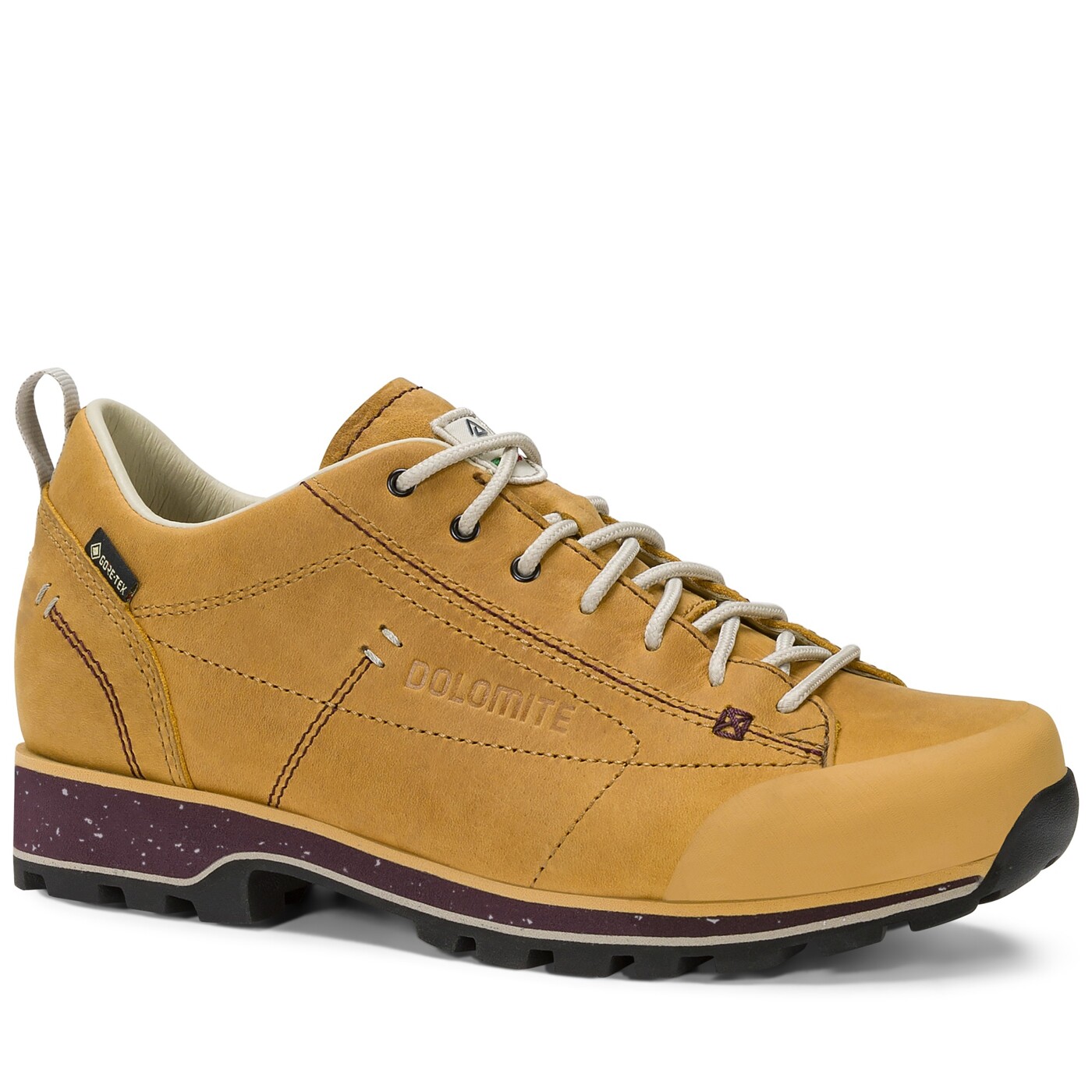 DOL Shoe Ws 54 Low Fg Evo GTX DOLOMITE - Damen
