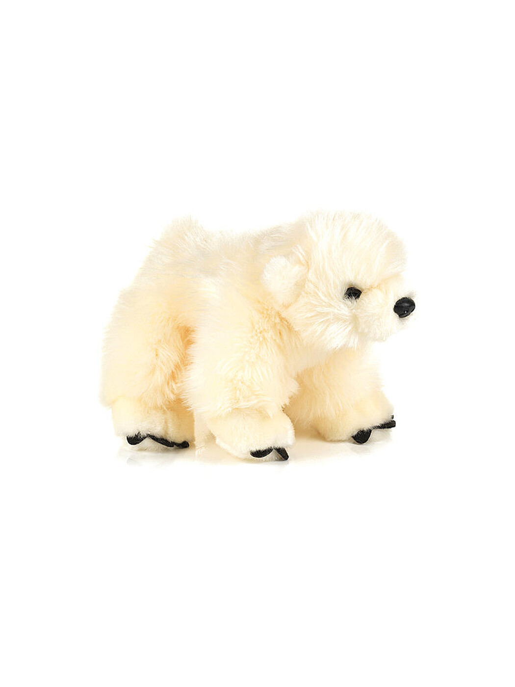 Baby Eisbär