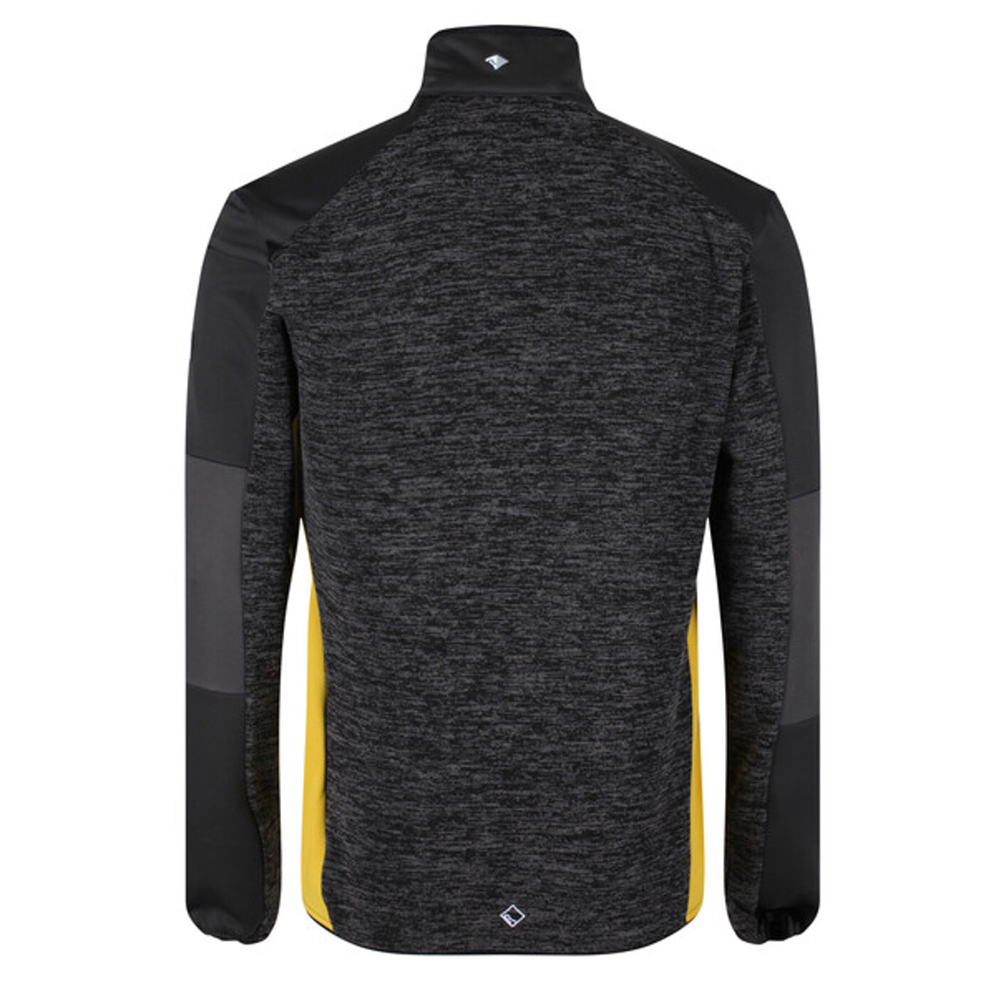Funktionsjacke Coladane Regatta - Herren